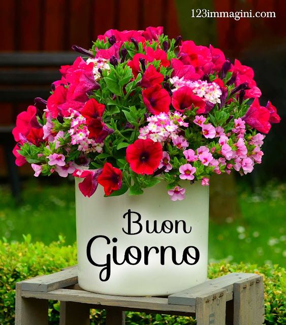 Nuovissimo Buongiorno Immagini 110