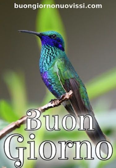 Nuovissimo Buongiorno Immagini 112