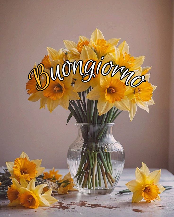 Nuovissimo Buongiorno Immagini 12