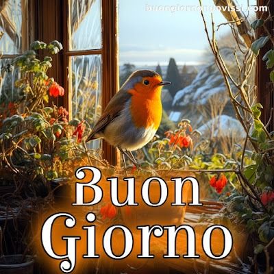 Nuovissimo Buongiorno Immagini 120