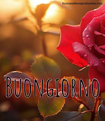 Nuovissimo Buongiorno Immagini 121