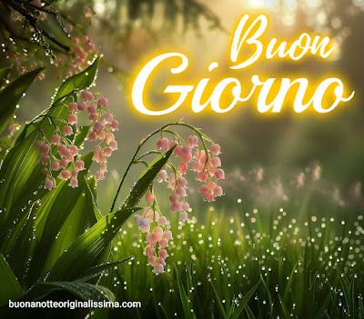 Nuovissimo Buongiorno Immagini 142