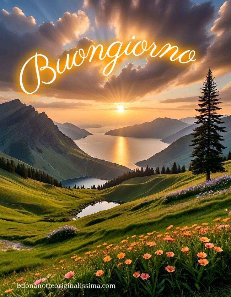 Nuovissimo Buongiorno Immagini 144