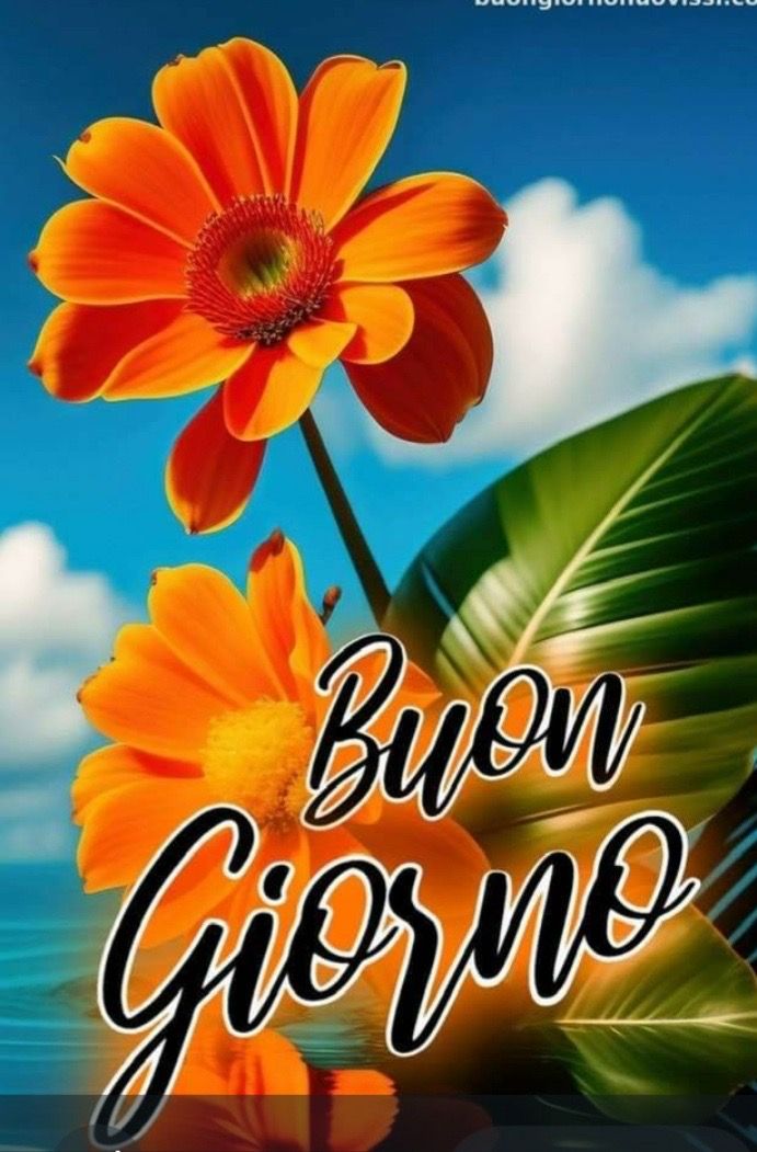 Nuovissimo Buongiorno Immagini 145