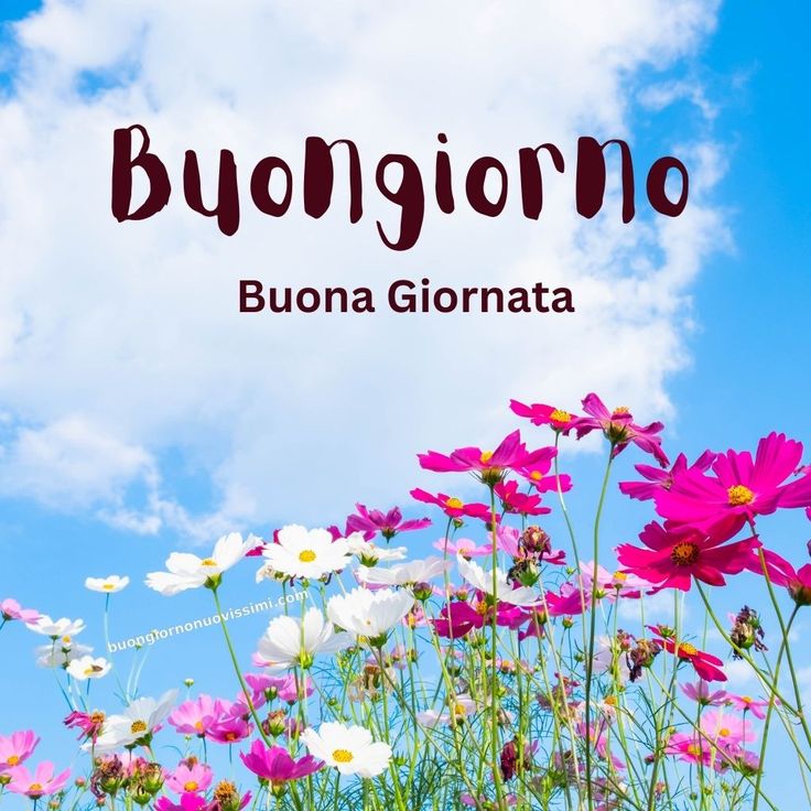 Nuovissimo Buongiorno Immagini 148