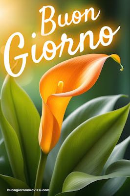 Nuovissimo Buongiorno Immagini 29