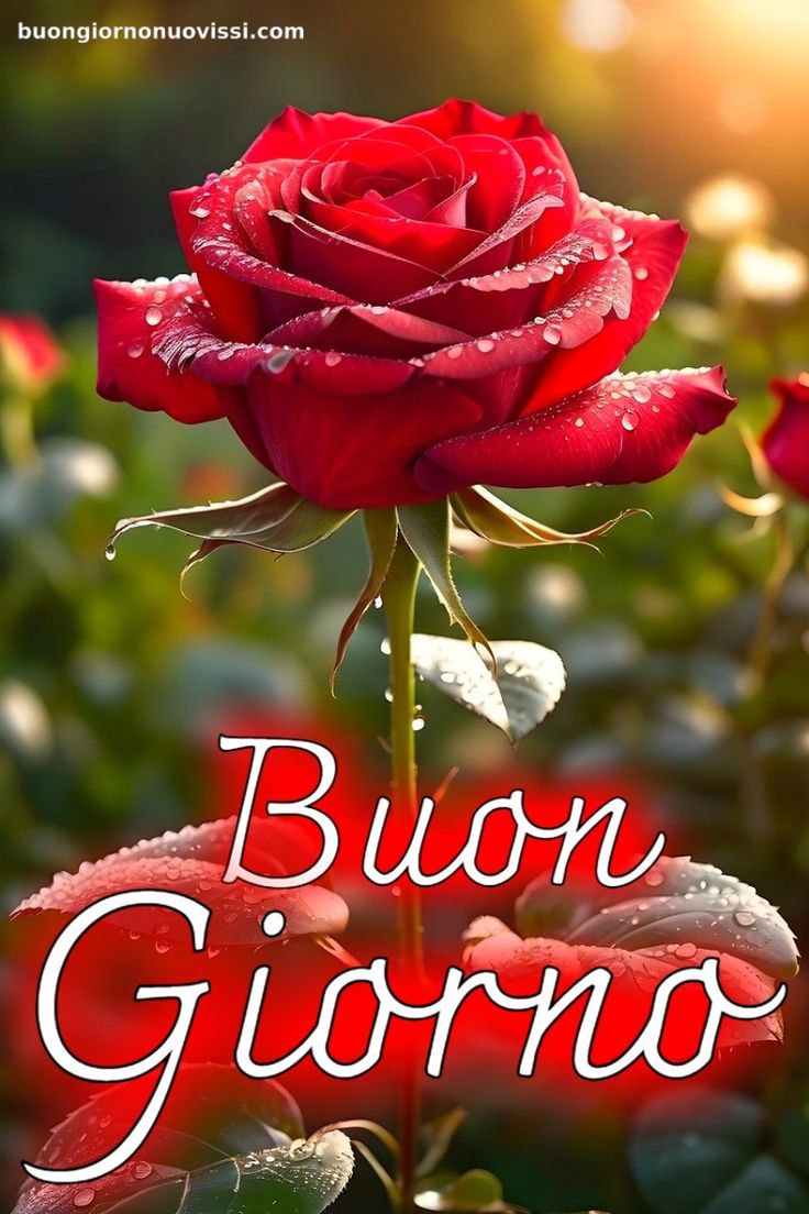 Nuovissimo Buongiorno Immagini 3