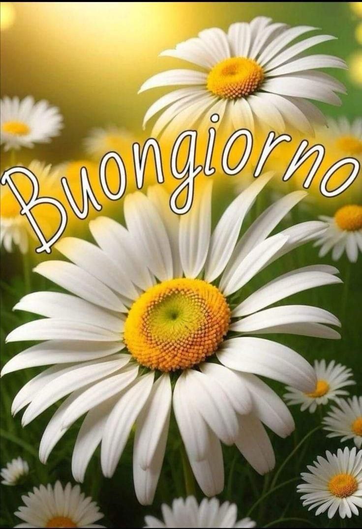 Nuovissimo Buongiorno Immagini 4
