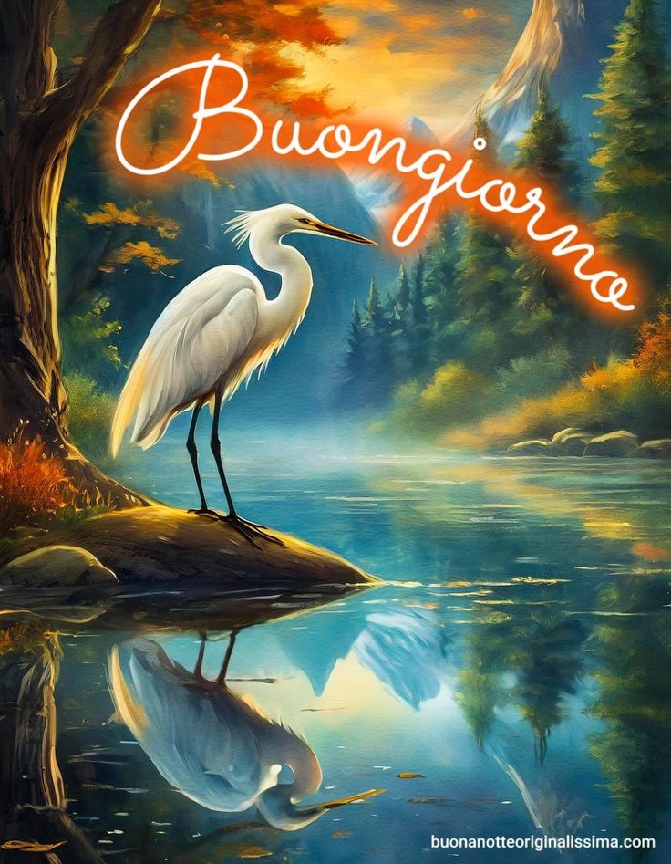 Nuovissimo Buongiorno Immagini 40