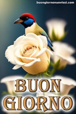 Nuovissimo Buongiorno Immagini 46