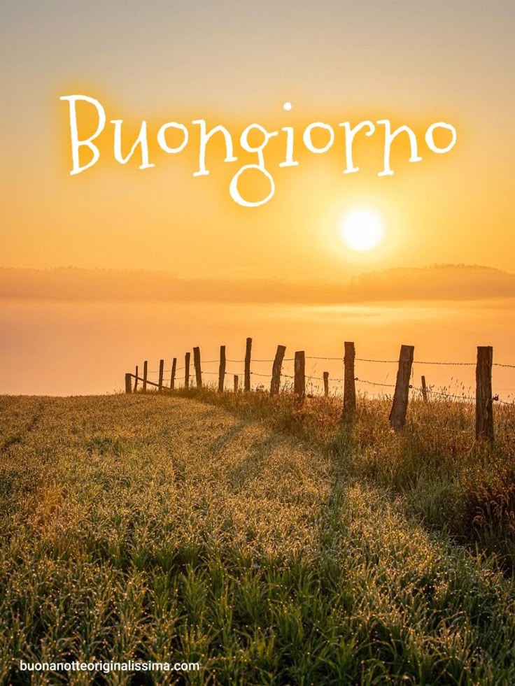 Nuovissimo Buongiorno Immagini 52