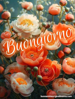Nuovissimo Buongiorno Immagini 53