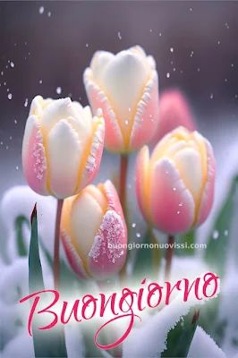 Nuovissimo Buongiorno Immagini 60