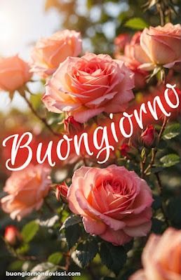 Nuovissimo Buongiorno Immagini 61