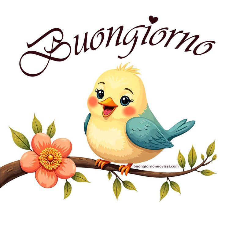 Nuovissimo Buongiorno Immagini 62