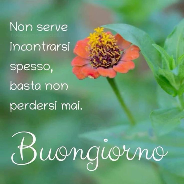 Nuovissimo Buongiorno Immagini 77