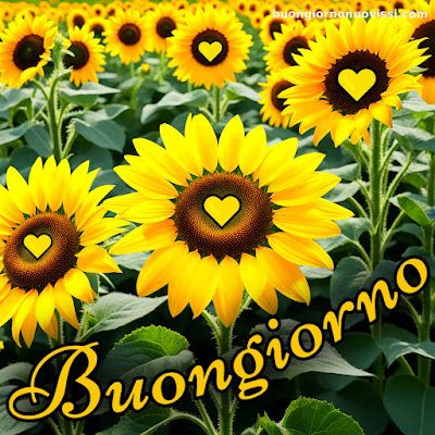 Nuovissimo Buongiorno Immagini 82