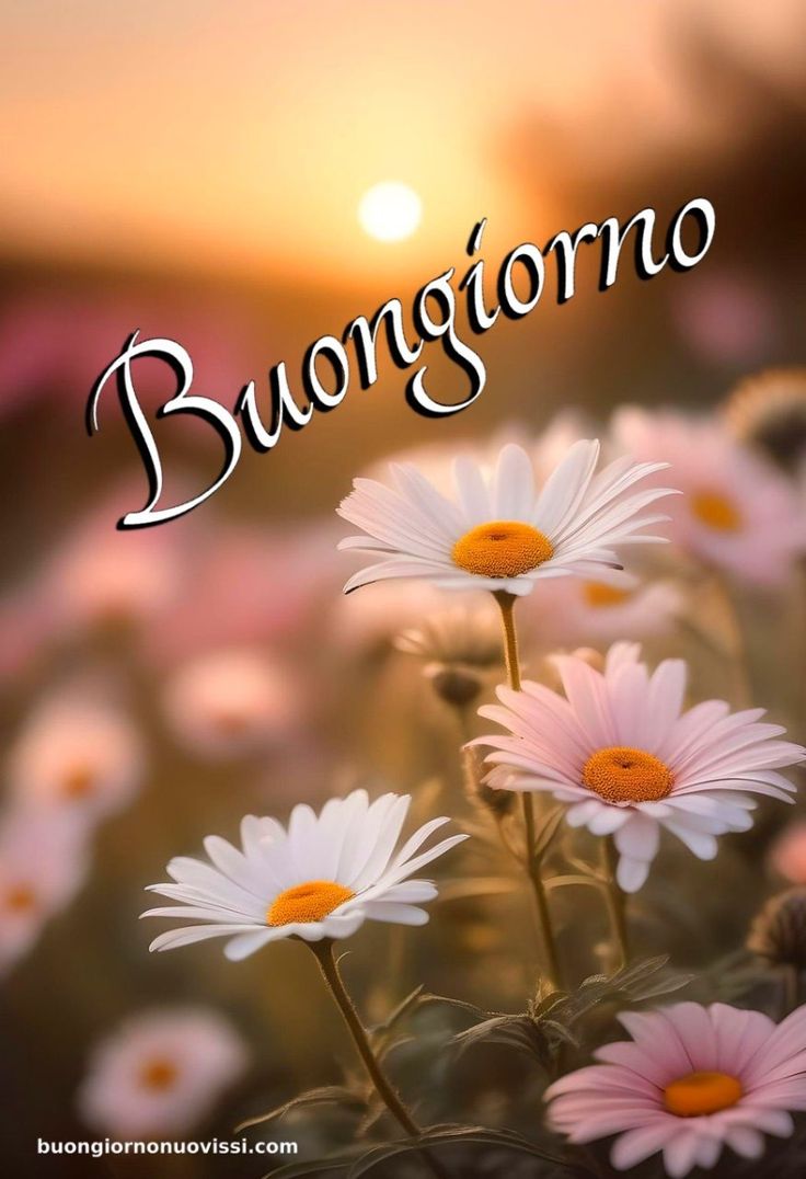 Nuovissimo Buongiorno Immagini 97