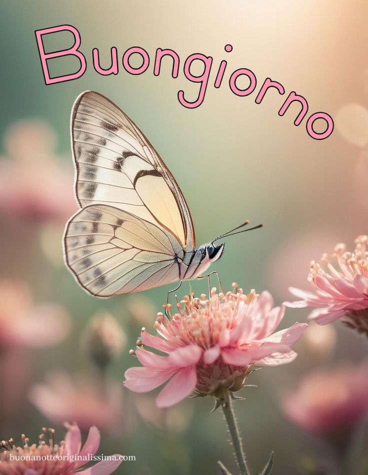 Nuovissimo Buongiorno Immagini 98