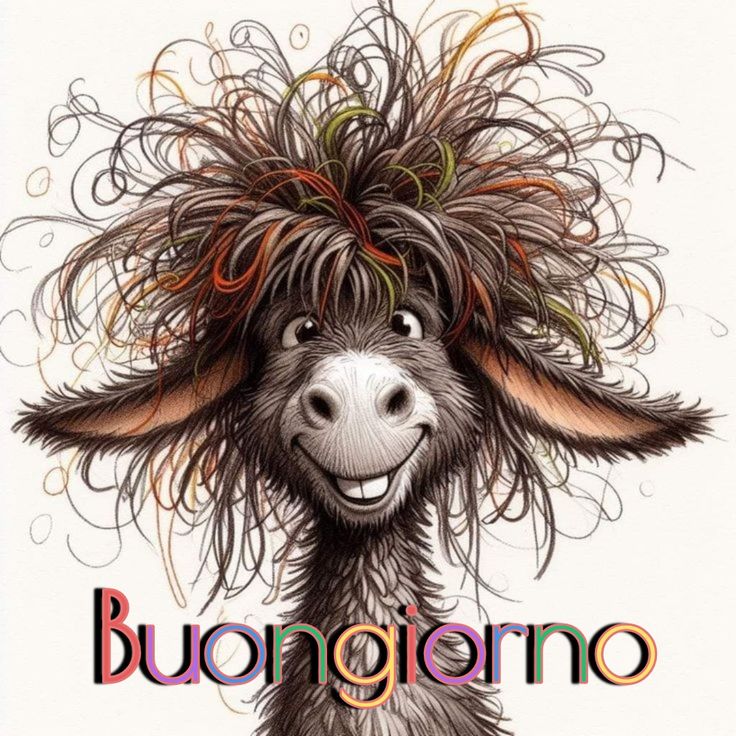 Spiritoso Divertente Buongiorno Immagini 104