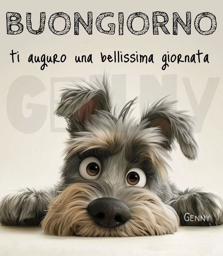 Spiritoso Divertente Buongiorno Immagini 105