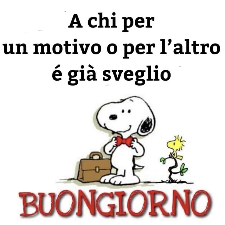 Spiritoso Divertente Buongiorno Immagini 106