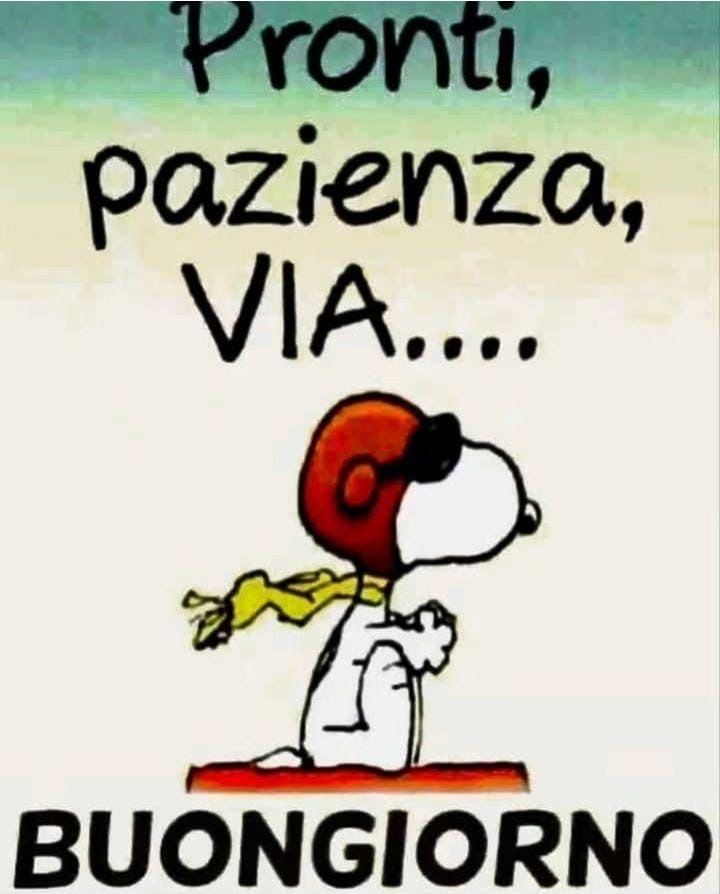 Spiritoso Divertente Buongiorno Immagini 124