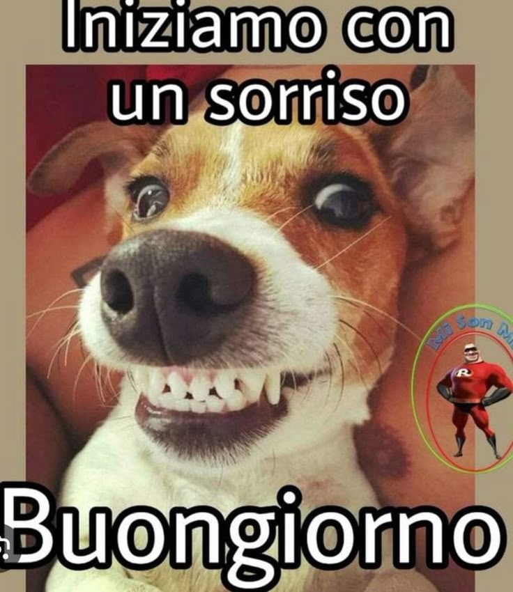 Spiritoso Divertente Buongiorno Immagini 125