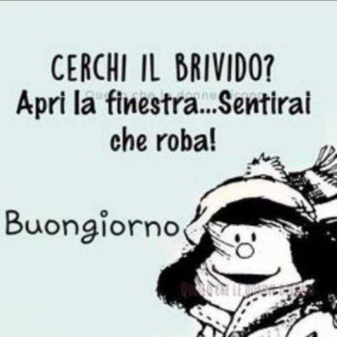 Spiritoso Divertente Buongiorno Immagini 128