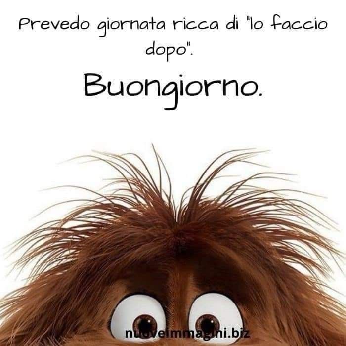 Spiritoso Divertente Buongiorno Immagini 13