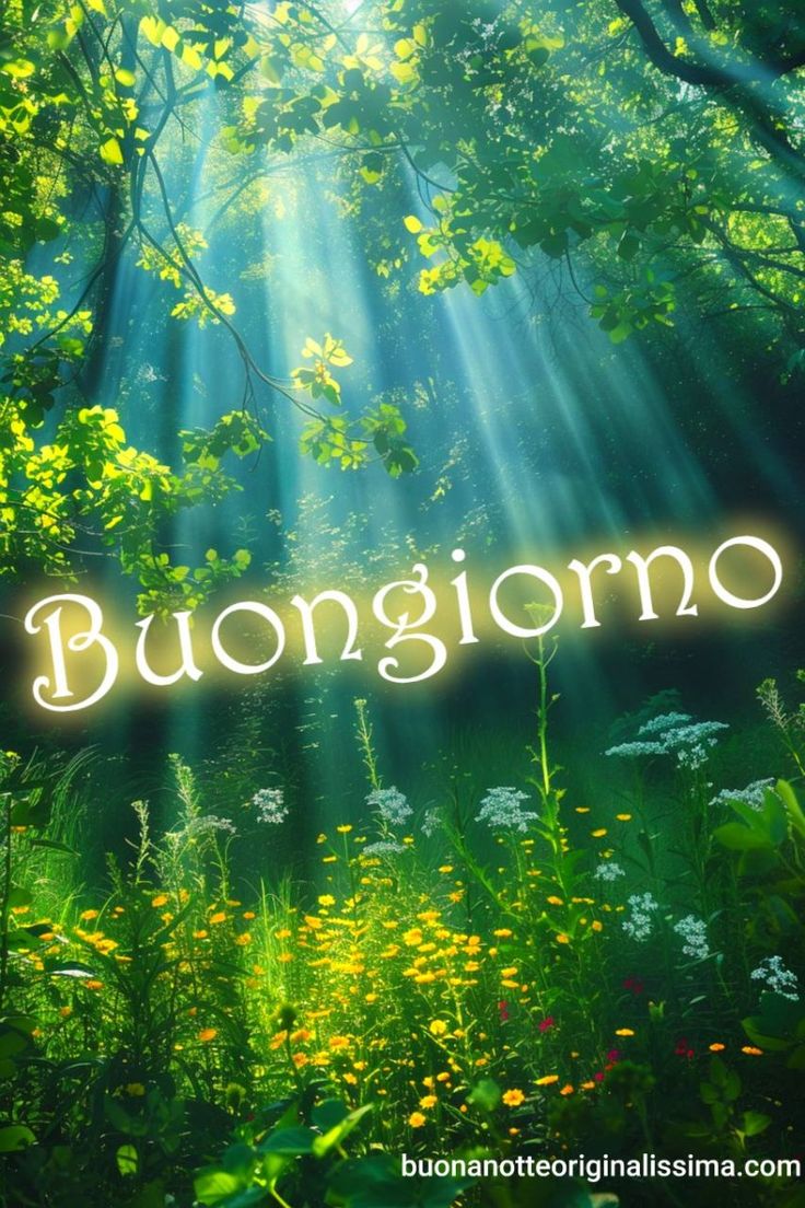 Spiritoso Divertente Buongiorno Immagini 143