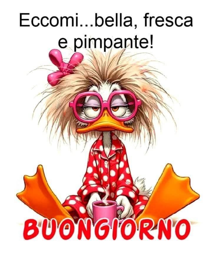 Spiritoso Divertente Buongiorno Immagini 17