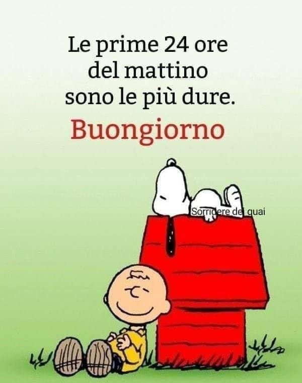 Spiritoso Divertente Buongiorno Immagini 21