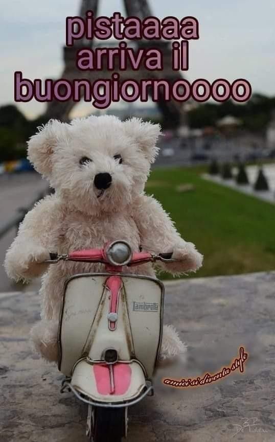 Spiritoso Divertente Buongiorno Immagini 23