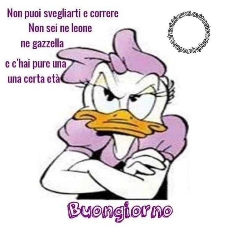 Spiritoso Divertente Buongiorno Immagini 31