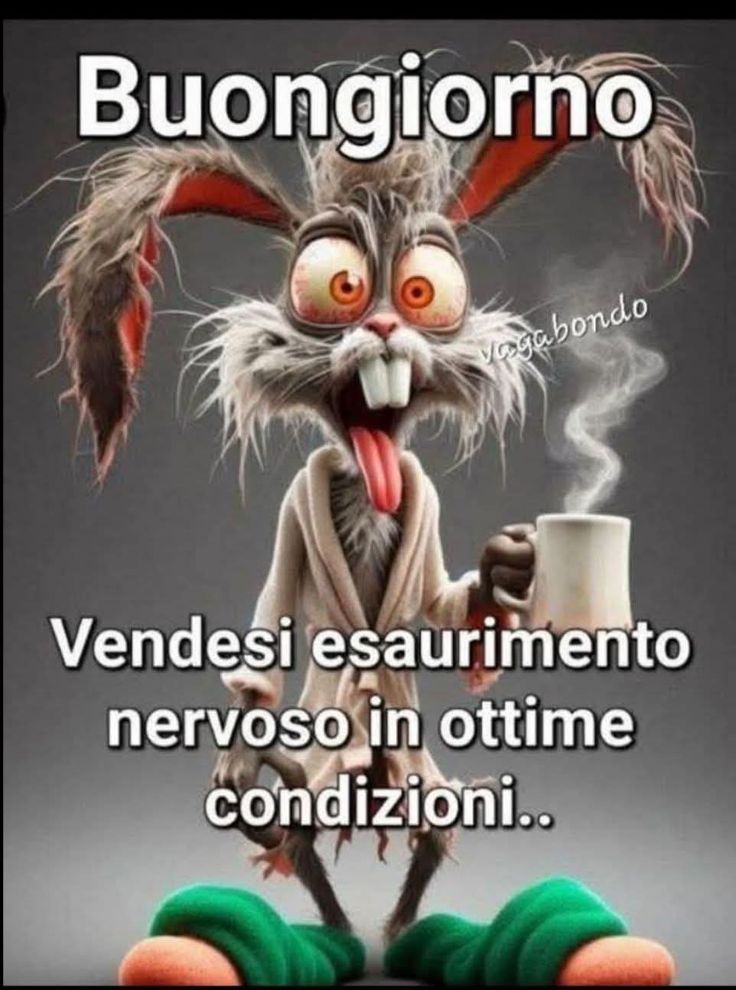 Spiritoso Divertente Buongiorno Immagini 32