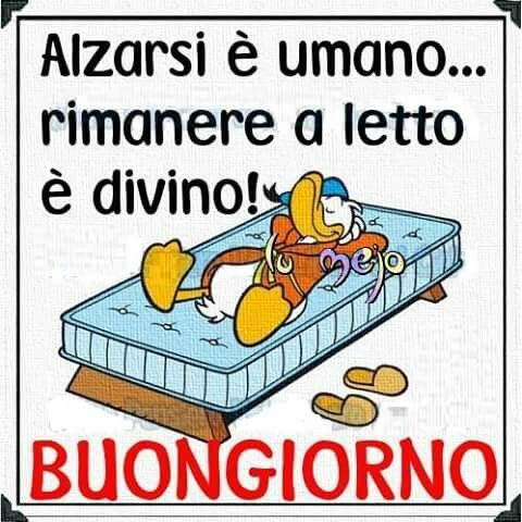 Spiritoso Divertente Buongiorno Immagini 33