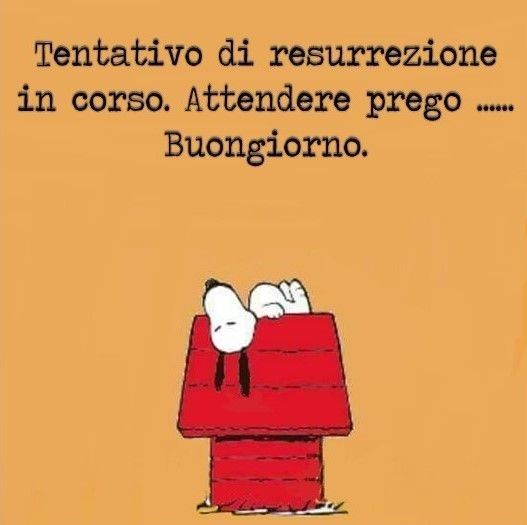 Spiritoso Divertente Buongiorno Immagini 36