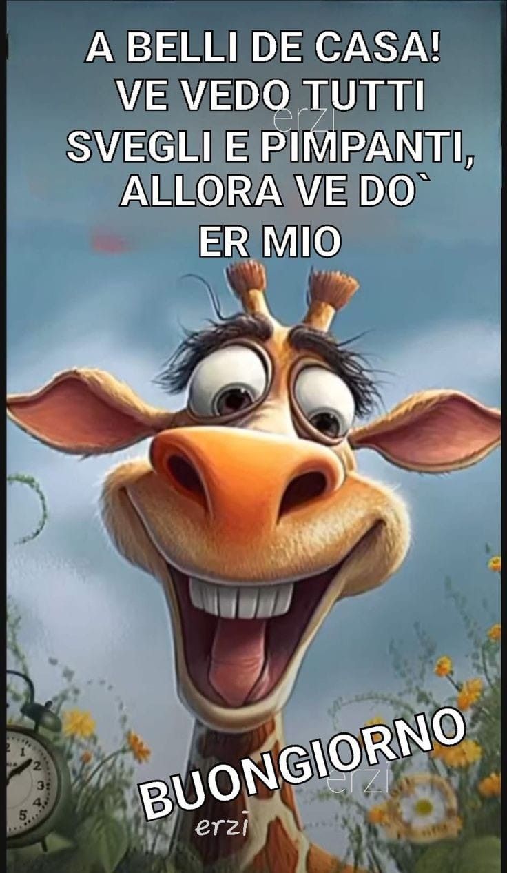 Spiritoso Divertente Buongiorno Immagini 37