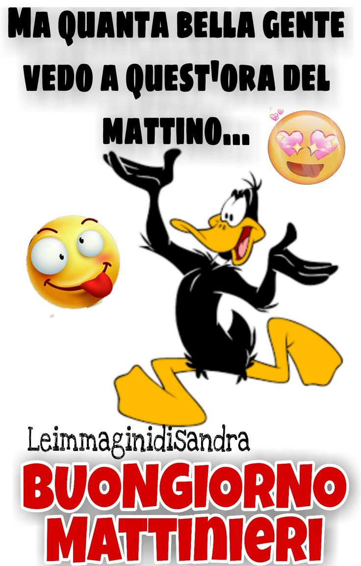 Spiritoso Divertente Buongiorno Immagini 38