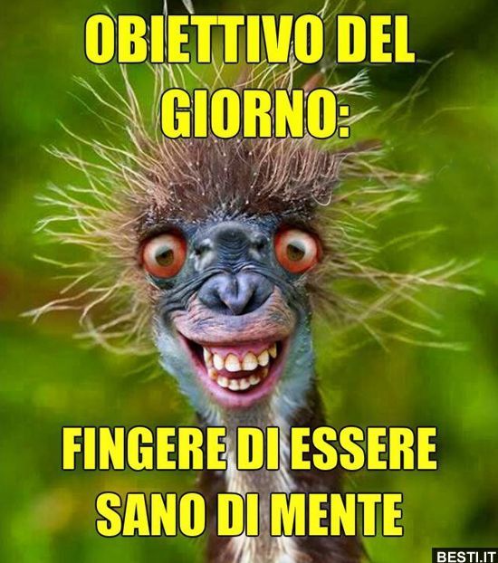 Spiritoso Divertente Buongiorno Immagini 41