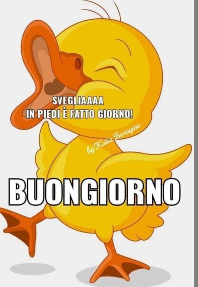 Spiritoso Divertente Buongiorno Immagini 46
