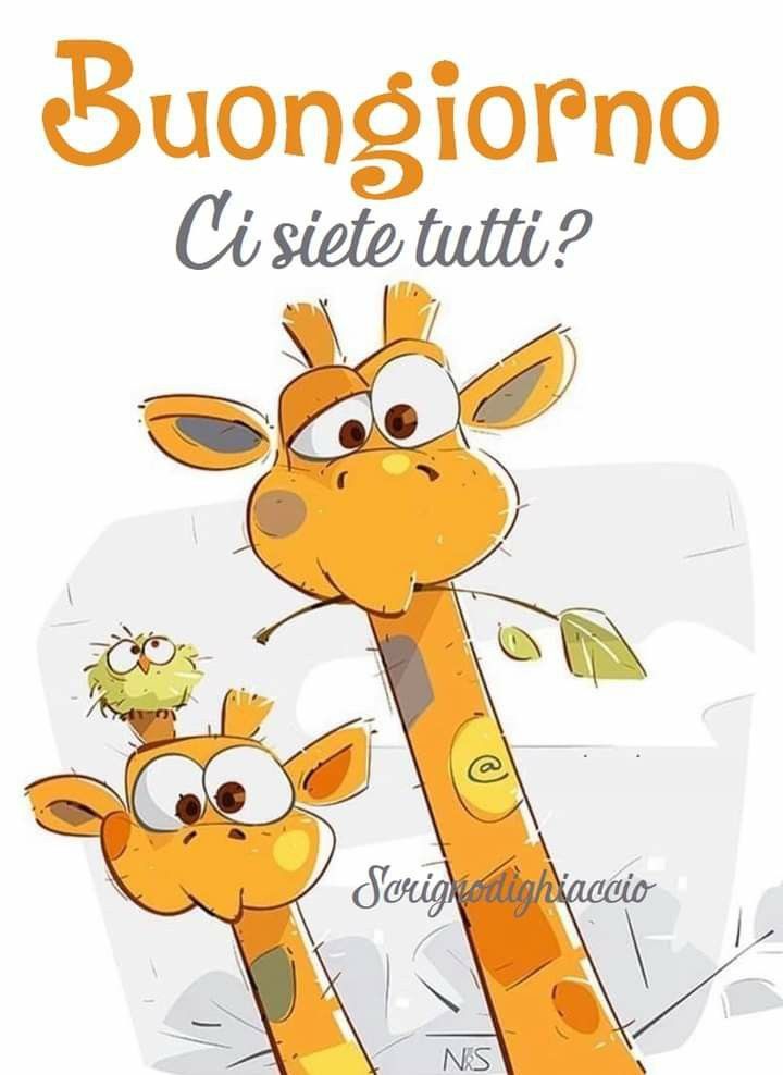 Spiritoso Divertente Buongiorno Immagini 5