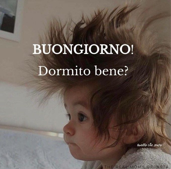 Spiritoso Divertente Buongiorno Immagini 56