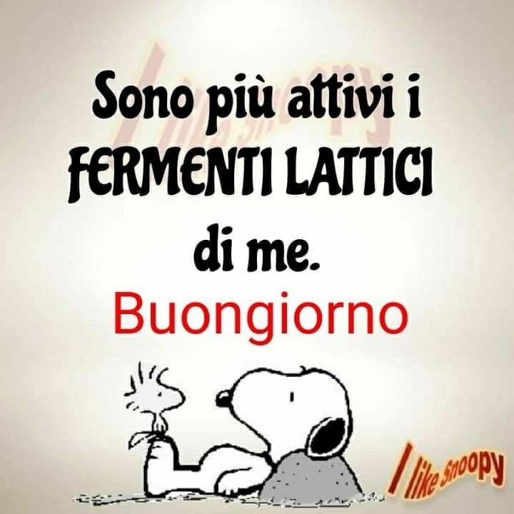 Spiritoso Divertente Buongiorno Immagini 63