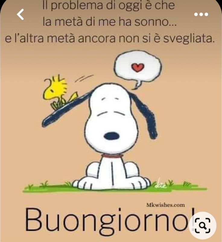 Spiritoso Divertente Buongiorno Immagini 65