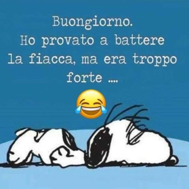 Spiritoso Divertente Buongiorno Immagini 67