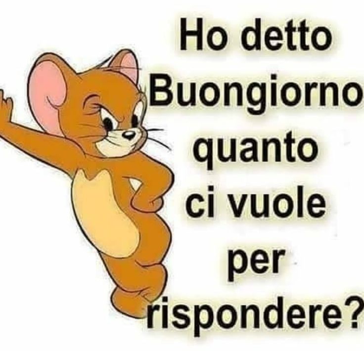 Spiritoso Divertente Buongiorno Immagini 70