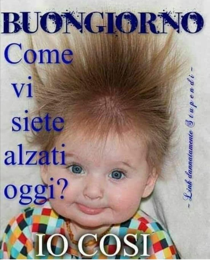 Spiritoso Divertente Buongiorno Immagini 74