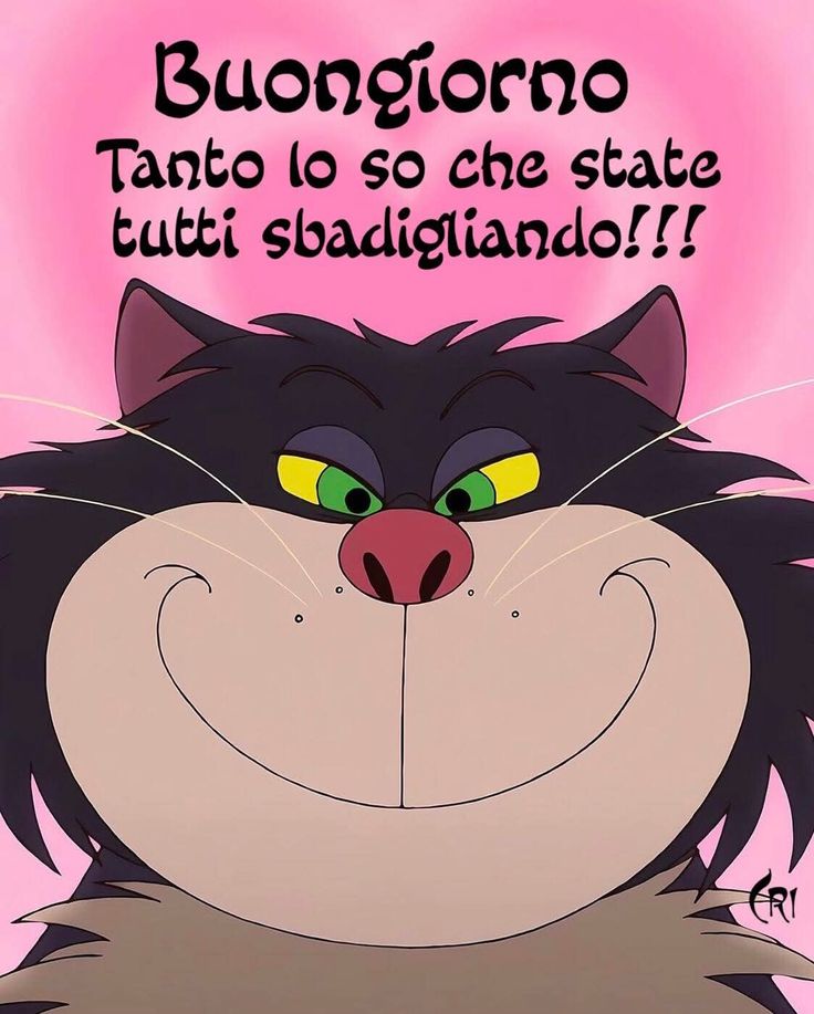 Spiritoso Divertente Buongiorno Immagini 8